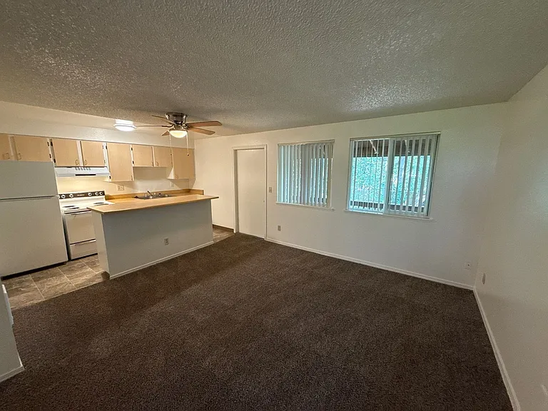 The Firs Apartments — Photo 21