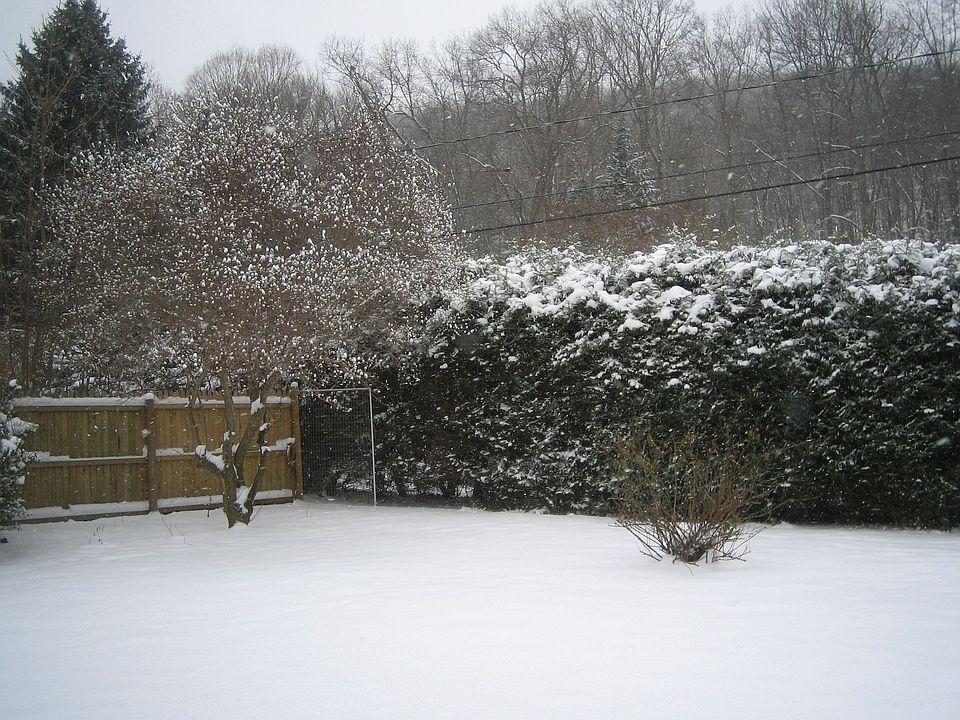 Side Yard