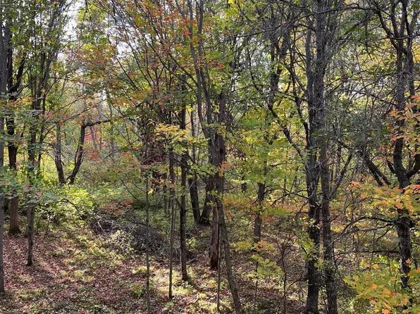 0 Levi Ln, Crosslake, MN 56442