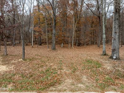 211 Rocky Branch Rd, Blountville, TN, 37617