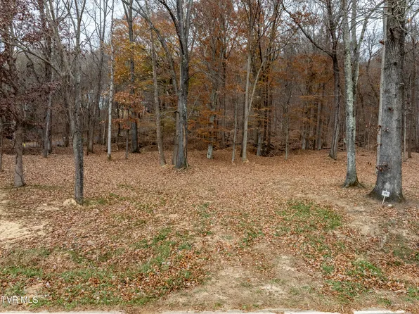 211 Rocky Branch Rd, Blountville, TN 37617