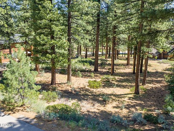 2nd image of 255 Mugo Pine Cir #34