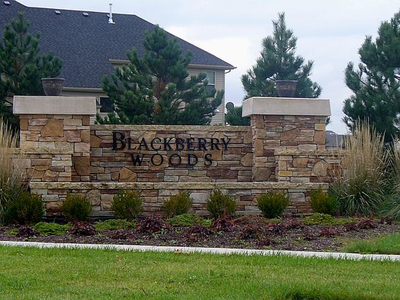 Blackberry Woods Subdivision is all about location. Close to shopping, medical facilities, school, library, banks, and major road ways.