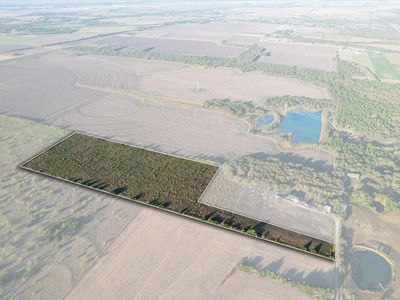 Cottonwood, Palmer, TX, 75152