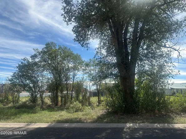 LOT 143 S River Rd, Eagar, AZ 85925