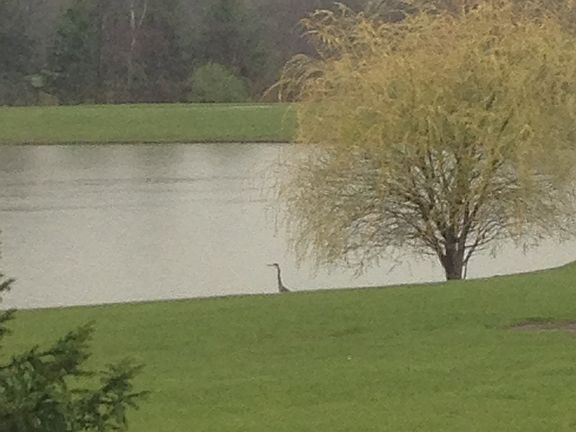 2nd image of 7875 Greene Farm Dr