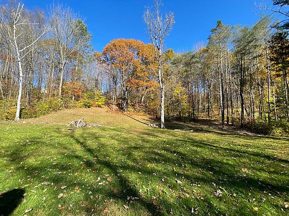 Large Tre-framed Backyard