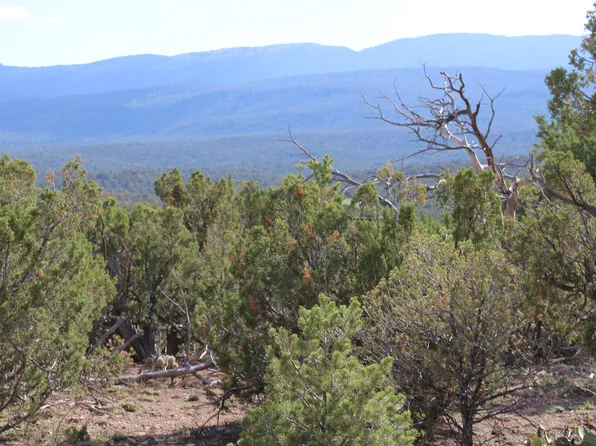 6 Broken Arrow Pl, Sandia Park, NM 87047