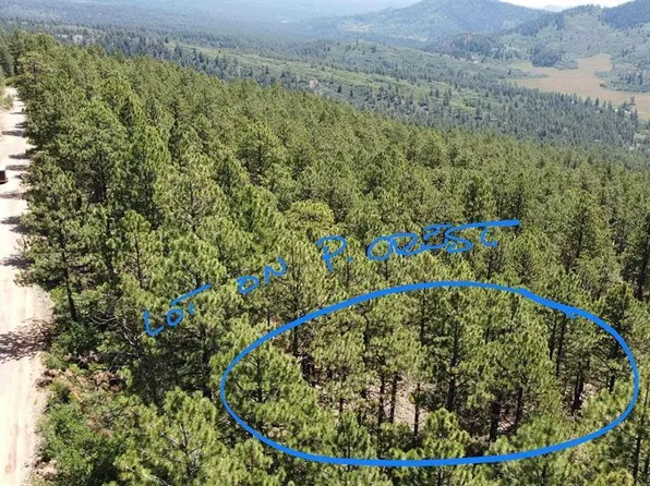 62 Pine Crest & 451 Pine Ridge Drive, Bayfield, CO 81122