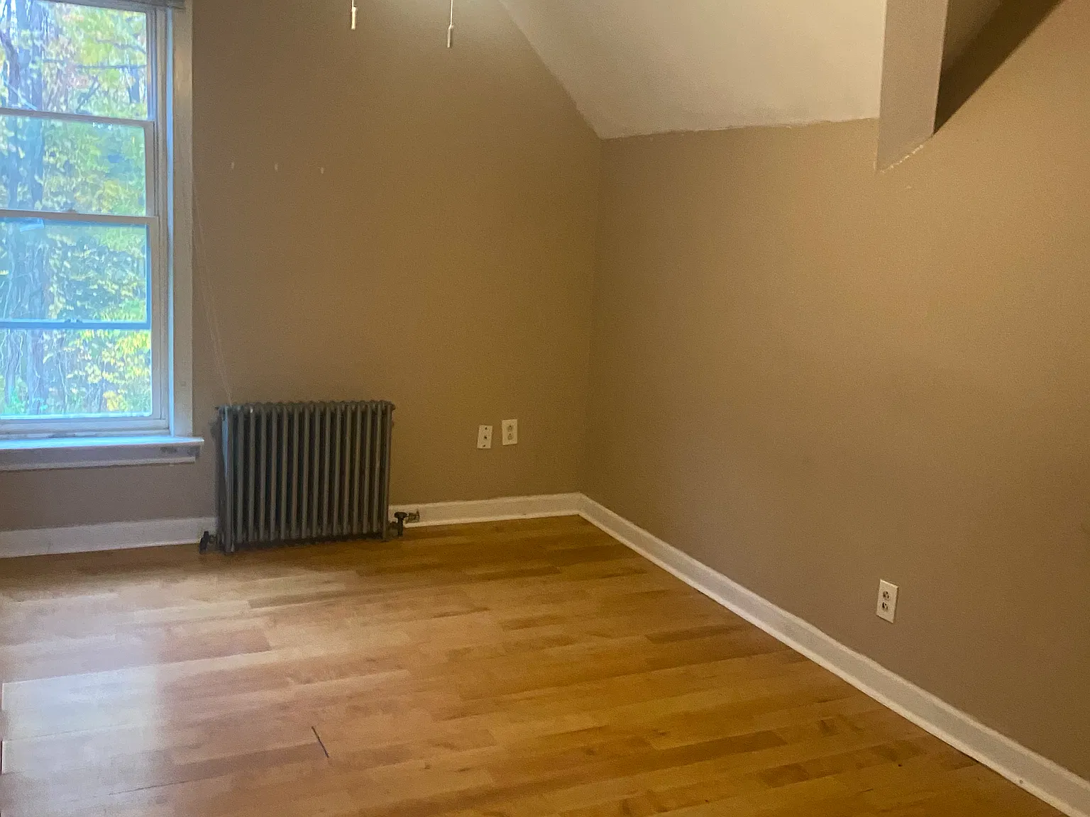 1 bed, $950 — Photo 2