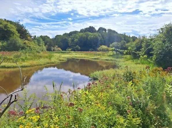 98 Choate St, Essex, MA 01929