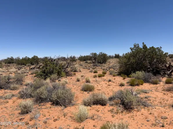 276 Chev Canyon Rnch #3, Heber, AZ 85928