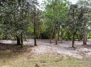 1143 Elysium Blvd, Mount Dora, FL 32757
