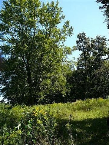 2nd image of 68721 S River Rd