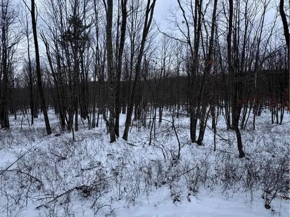 230 Elderberry Ln, Hazleton, PA 18202