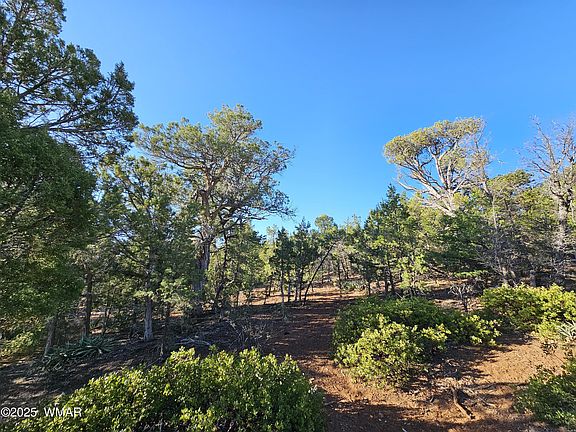4th image of 801 W Sierra Pines Dr
