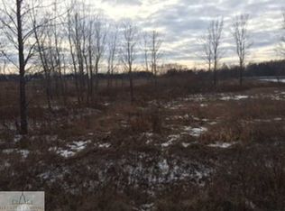 Whittum Rd, Eaton Rapids, MI 48827