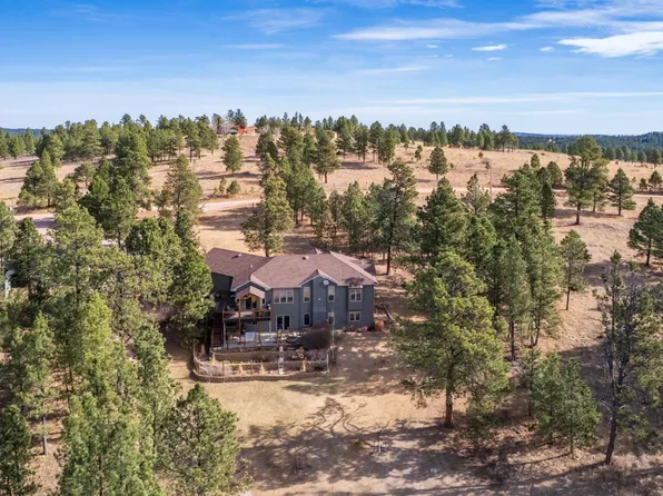 24271 Rushmore Ranch Rd, Keystone, SD 57751