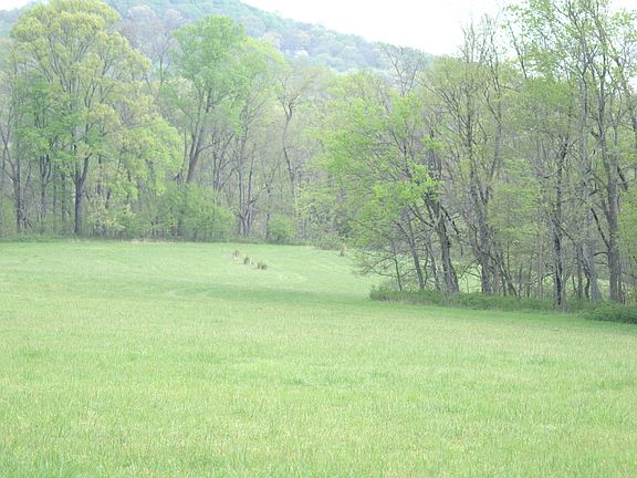 2nd image of 2765 Clem Hill Ln