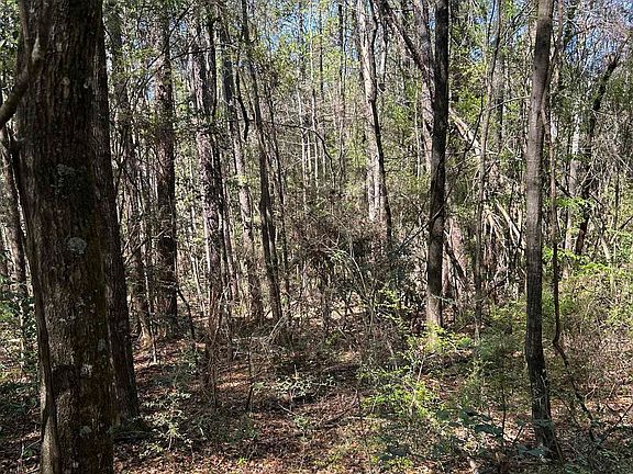 5th image of 0 Fleming Ln