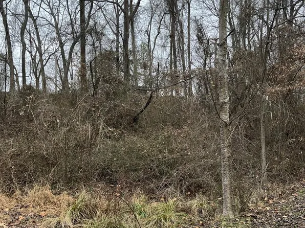 0 Lakeview Dr, Springville, TN 38256