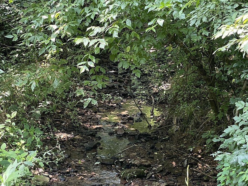 2nd image of 448 Clifty Rd