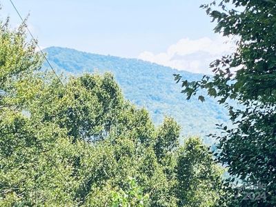 LOT 21 Torwood Ln, Whittier, NC, 28789