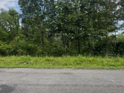 590 Ewing Rd, Spring City, TN, 37381