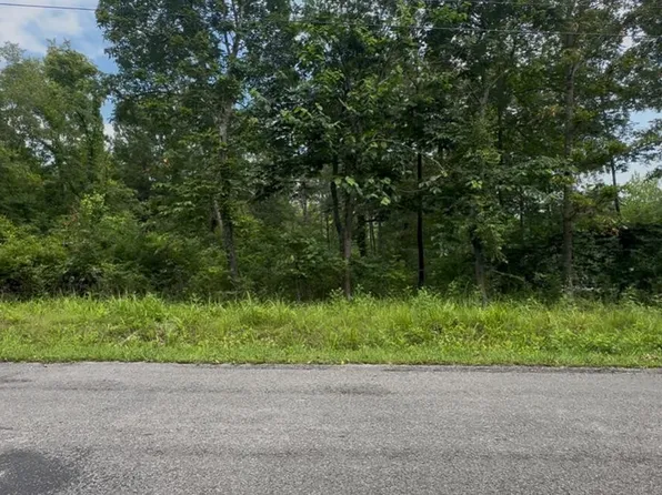 590 Ewing Rd, Spring City, TN 37381