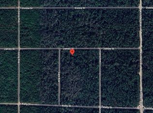 0 James St, Hastings, FL 32145