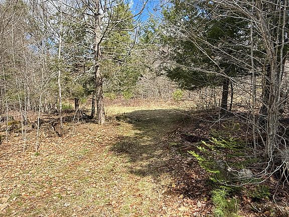 2nd image of 0 Pond Road South