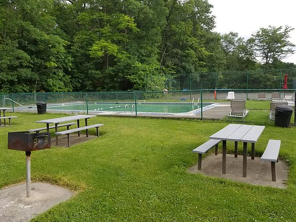 Picnic & Pool