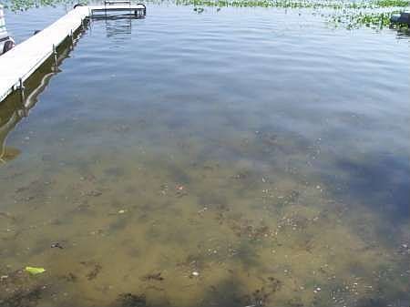 1st image of 4579 E County Road 210