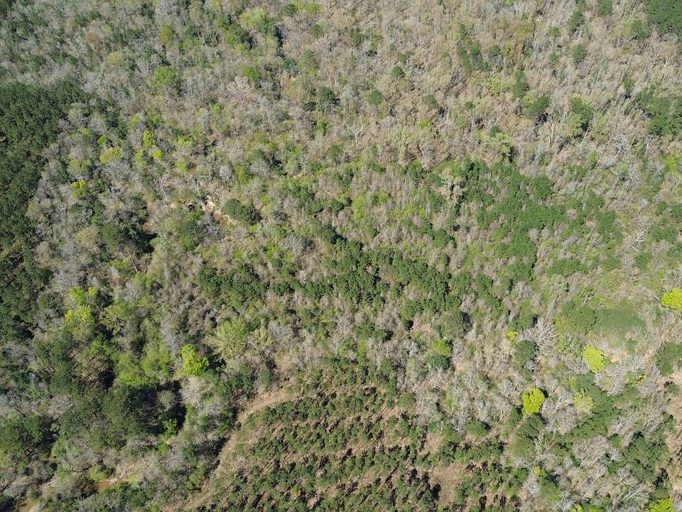 2nd image of Fm 1012