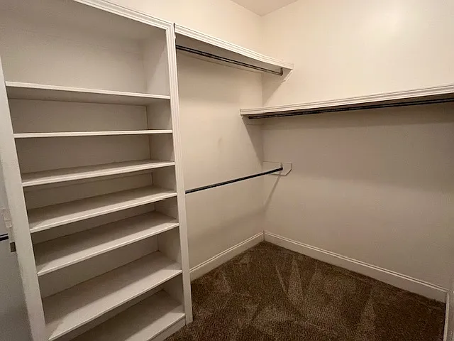 Primary closet