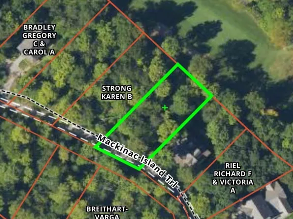 13 Maple Ridge St, Mackinac Island, MI 49757