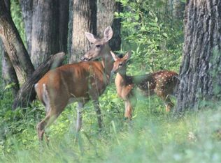 15 Acres Highway 13, Friendship, WI 53934