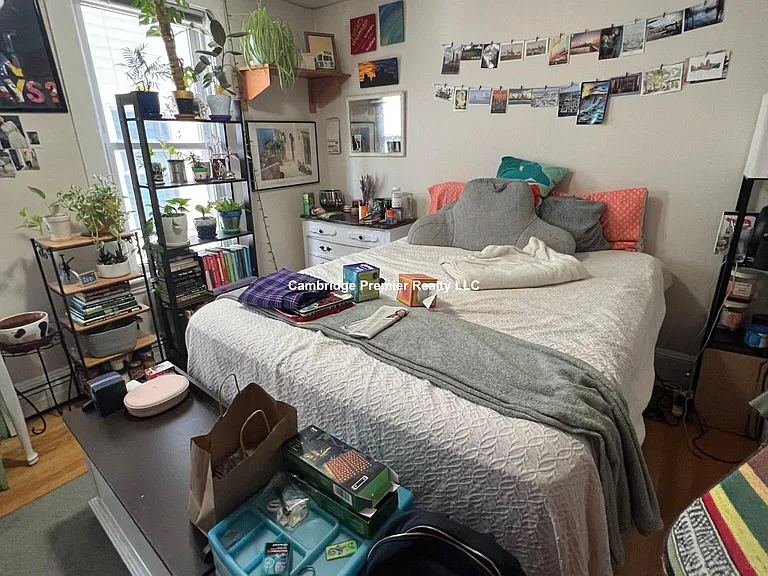 279 Pearl St #3 — Photo 9