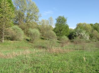 11493 Riverside Dr LOT D, Lowell, MI 49331