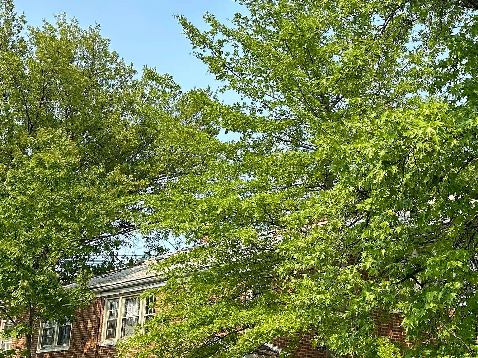Noble Apartment LLC - 2 — Photo 4