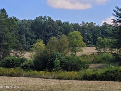 Epperson Rd, Tellico Plains, TN, 37385