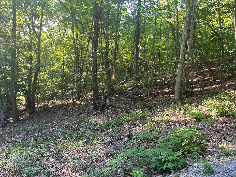 1st image of 34 Wildwood Rdg