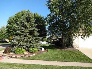 4th image of 1118 Laquinta Dr