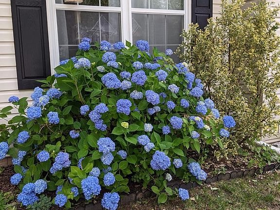 3rd image of 725 Shallow Ridge Ct