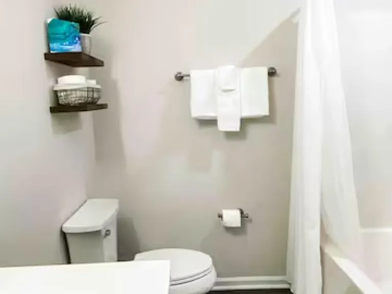 Hallway bathroom