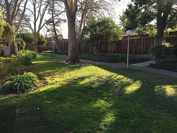 near downtown Walnut Creek