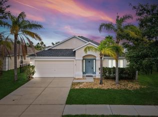 13314 Evening Sunset Ln, Riverview, FL 33579