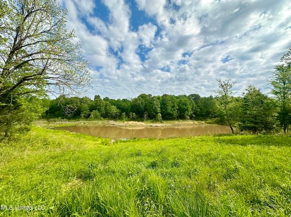 0 Pickle Dr, Enid, MS 38927