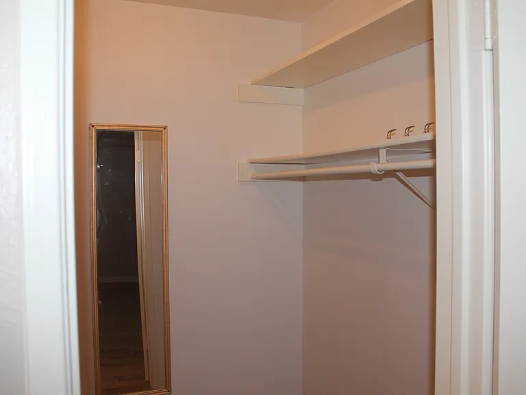 Master walk-in closet with multiple-layer rods