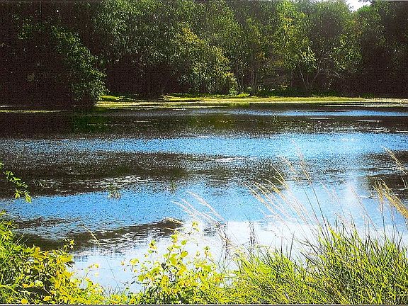Ben’s Pond